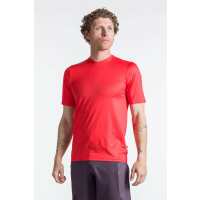 Read Pactimo Reviews